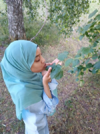 dask profil billede