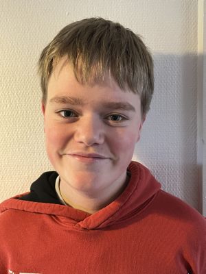 dask profil billede